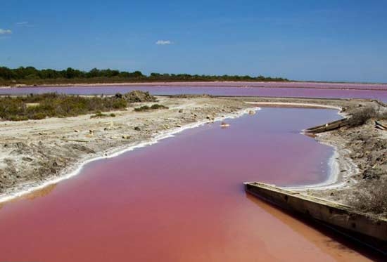 دریاچه‌‌ای به رنگ خون در فرانسه / عکس