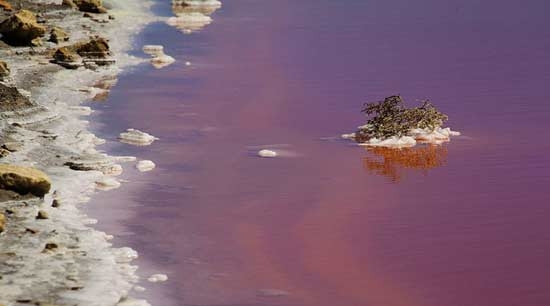 دریاچه‌‌ای به رنگ خون در فرانسه / عکس