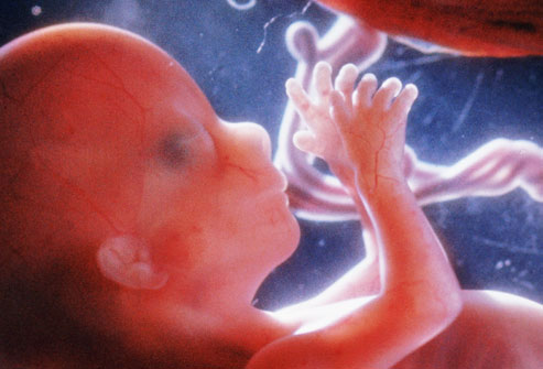 جنین تکان نمی‌خورد، آیا ممکن است مرده باشد؟