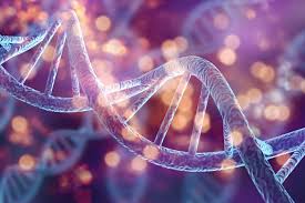 ۱۰ واقعیت عجیب درباره DNA انسان