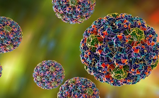 آیا ویروس پاپیلومای انسانی درمان قطعی دارد؟