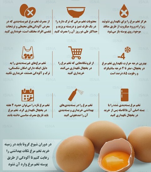 چند نکته مهم برای خرید و نگهداری تخم مرغ / اینفوگرافیک