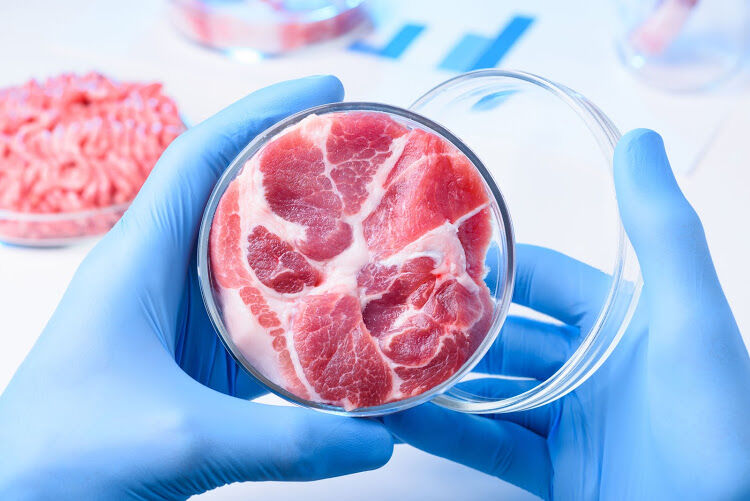 تولید گوشت آزمایشگاهی ارزان و سازگار با محیط زیست