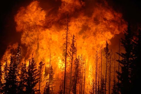خطر آتش‌سوزی بیخ گوش جنگل‌ها و مراتع