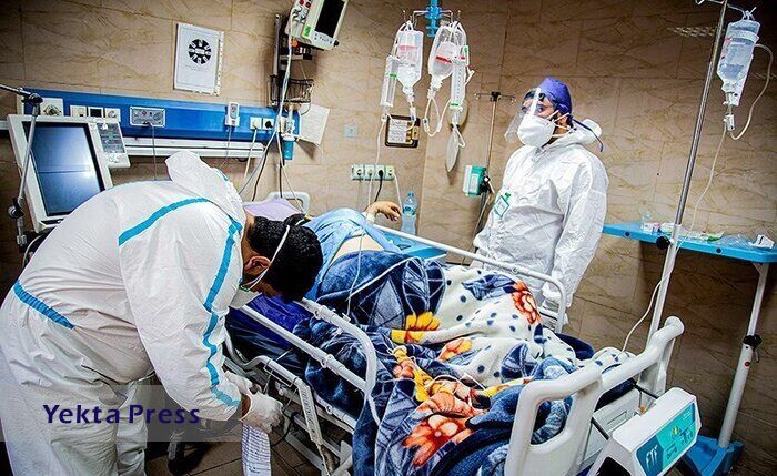 فوت ۳۰ نفر و شناسایی ۲۳۹۴ بیمار جدید کرونایی در کشور