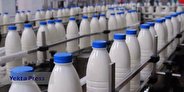 ثروتمندان ۶ برابر بیشتر سرانه مصرف شیر می‌خورند
