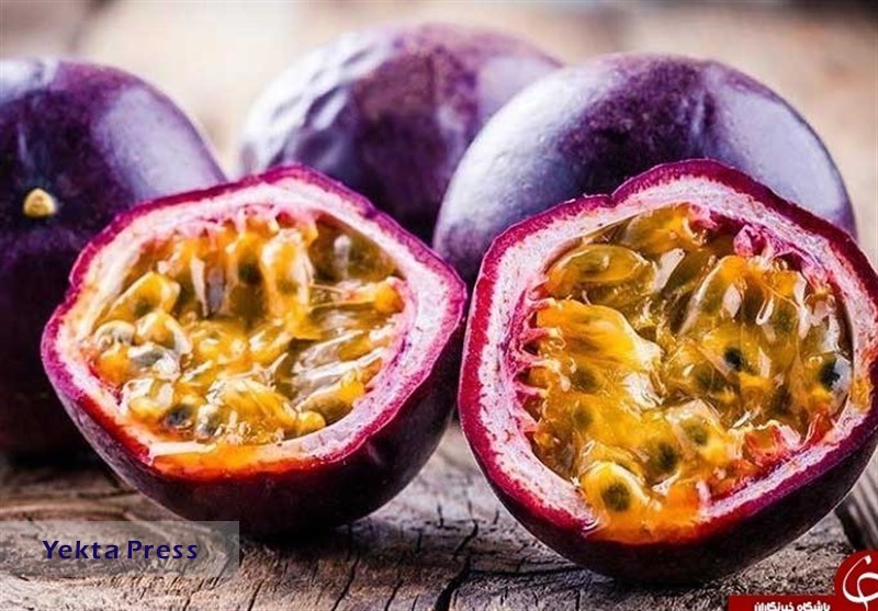 تولید ۴ میوه گرمسیری جدید در کشور میوه گرمسیری