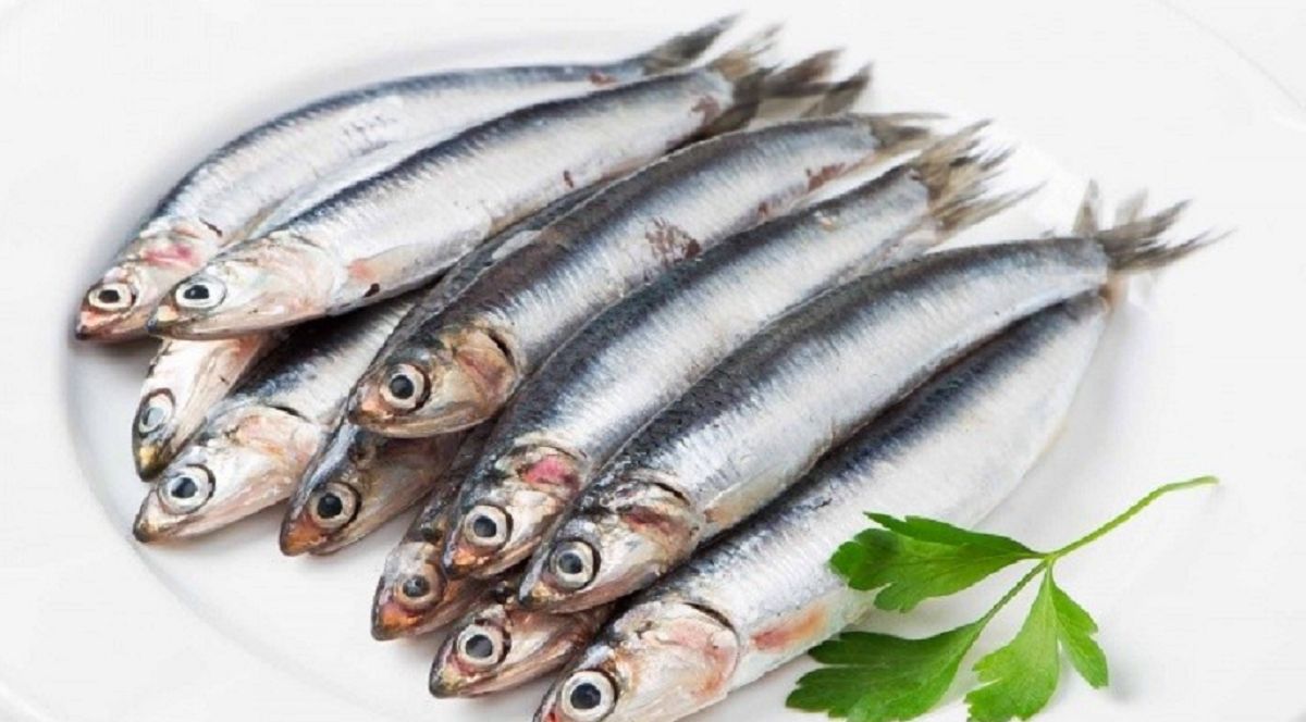 چگونه با مصرف ماهی ساردین از بروز دیابت پیشگیری کنیم