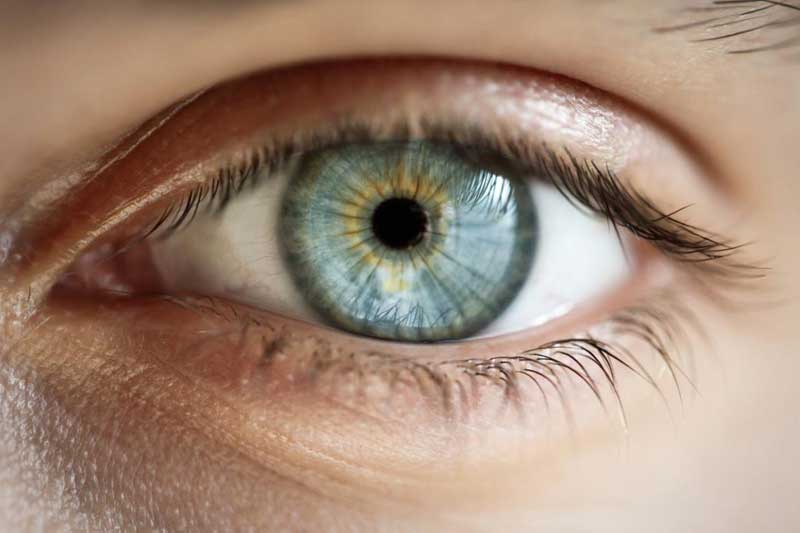 اندازه مردمک چشم و توانایی مغز