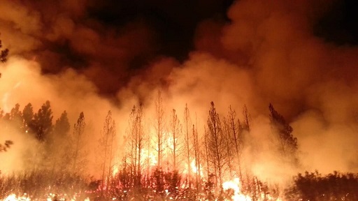 ادامه آتش سوزی‌های گسترده در کانادا درپی گرمای شدید هوا