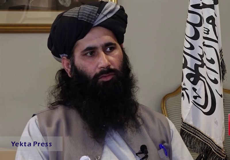 طالبان: القاعده و داعش در افغانستان نیستند