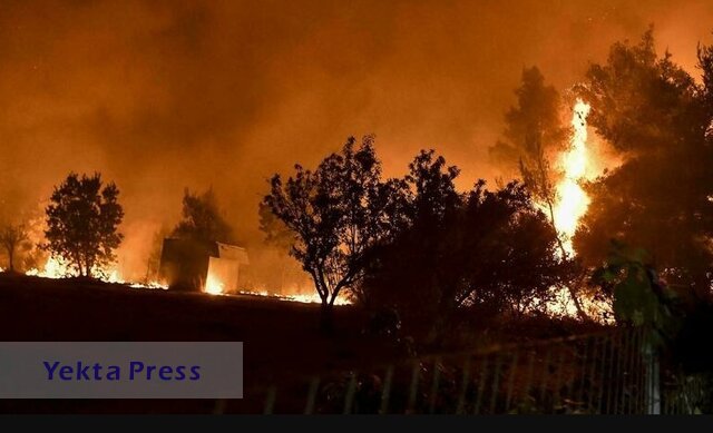 فاجعه آتش سوزی در یونان / فیلم