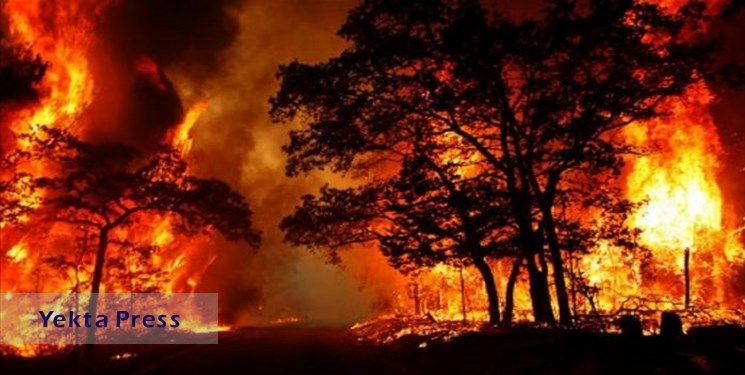 آتش‌سوزی های همزمان در تونس و الجزایر