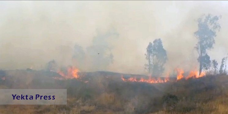 وقوع آتش سوزی در شمال فلسطین