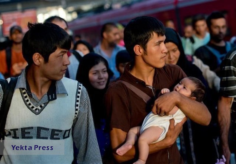 خواسته افغانستان برای توقف اخراج پناهجویان از اروپا