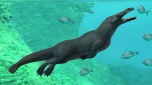 نهنگ 43 میلیون ساله ای در مصر کشف شد