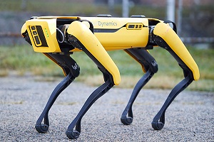 سگ رباتیک 