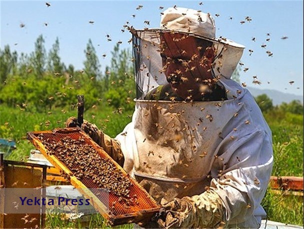 زنبورداران از اخذ «کد شناسه یکتا» مستثنی می‌شوند