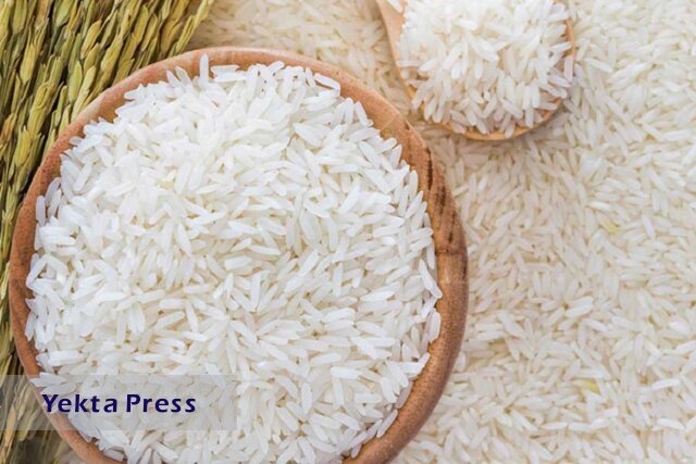  برنج در بورس کالا