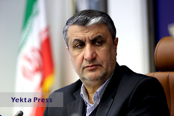 آغاز به کار رئیس جدید سازمان انرژی اتمی ایران