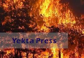 آتش نشانان ایران آتش سوزی جنگل‌های ارمنستان را خاموش کردند