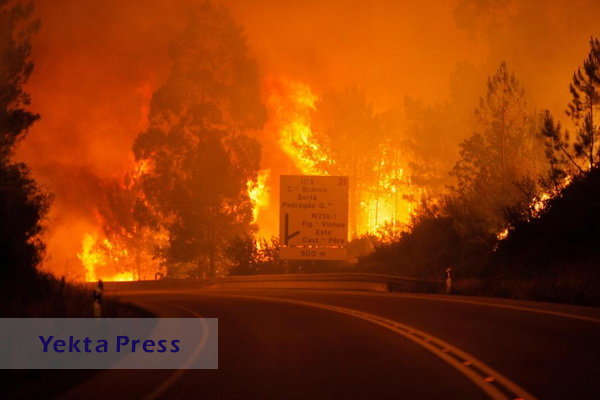 ۱۳۸ هزار و ۹۴۸ آتش‌سوزی در برزیل ثبت شده