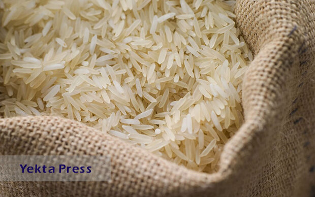 برنج‌های دولتی