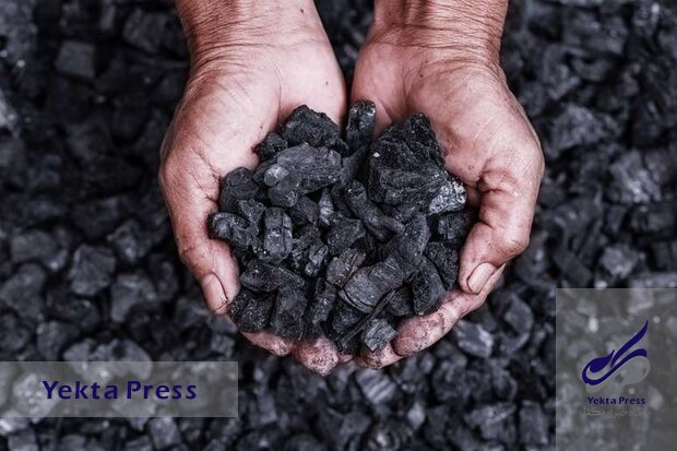 قیمت زغال‌سنگ