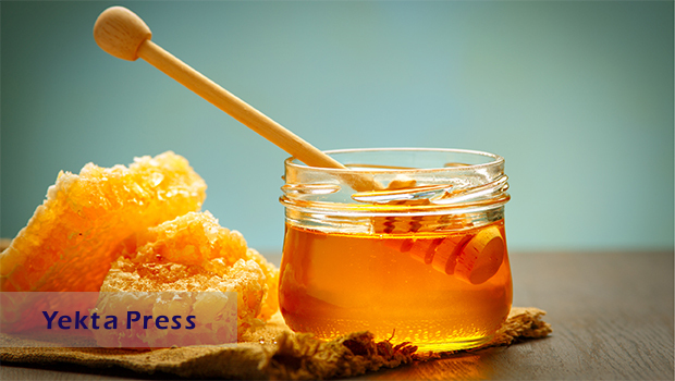 عسل ارگانیک چیست؟