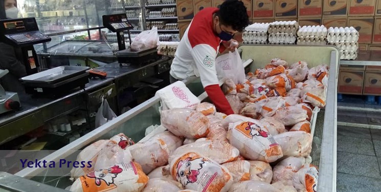 کاهش قیمت گوشت مرغ تازه تنظیم بازار در میادین میوه و تره بار