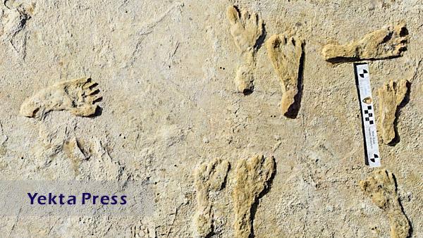 قدیمی ترین ردپای جهان متعلق به چه نوع انسانی است؟