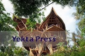 خانه‌های درختی با الهام از طرح سبدهای برنج بامبو