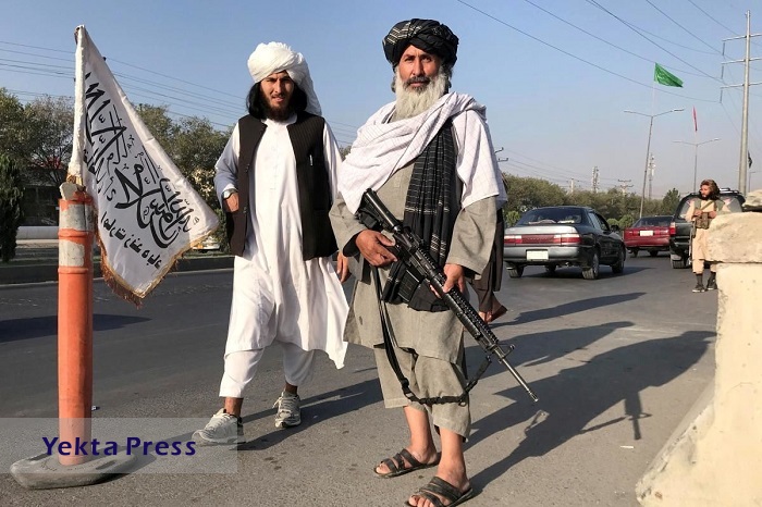 زه‌خوار به سبک طالبان!/ عکس