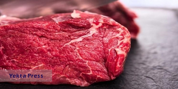 کاهش عرضه دام زنده دلیل افزایش قیمت گوشت