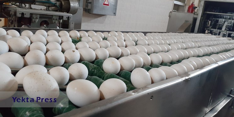 تخم مرغ در ایران ارزانتر از 82 کشور