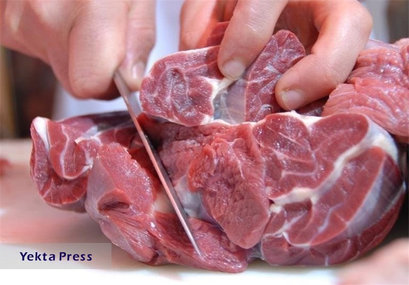 توزیع گسترده گوشت گوساله و گوسفند منجمد به قیمت ۱۳۰ تا ۱۶۰ هزار تومان از امروز