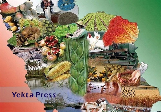 کشاورزی ایران طرفیت تولید غذا برای ۵۰۰ میلیون نفر را دارد
