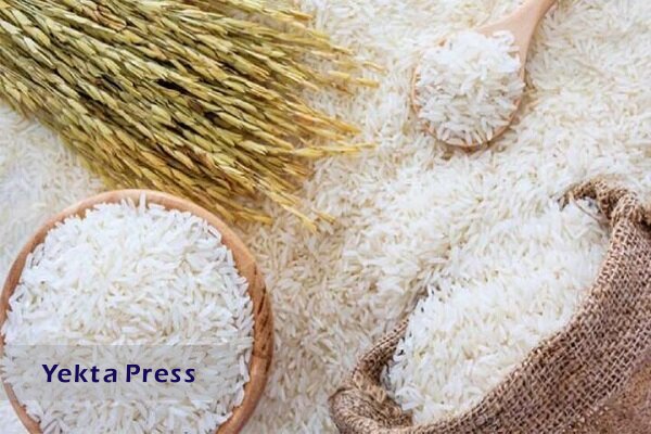 قیمت انواع برنج ایرانی در میادین تره‌بار تهران
