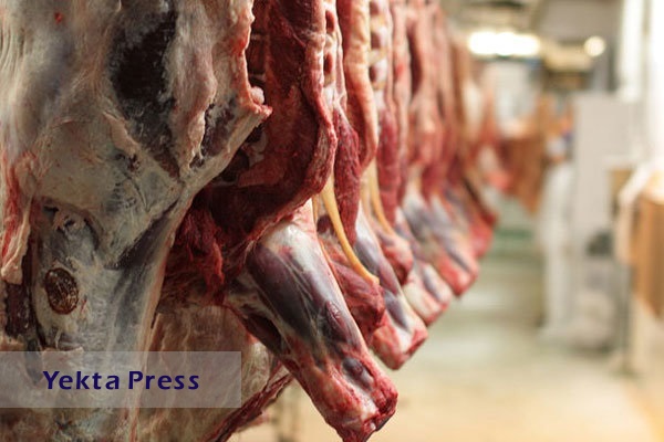 گوشت ارزان می‌شود/ توزیع گوشت گرم قرمز وارداتی از شنبه آینده
