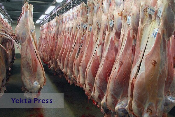رییس کمیسیون کشاورزی و صنایع غذایی اتاق تعاون : صادرات دام و گوشت نداریم