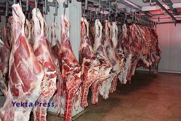 عرضه گوشت گرم از امروز در میادین/ قیمت‌های مصوب اعلام شد