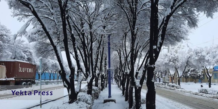 ماندگاری هوای سرد و بارش برف در تهران