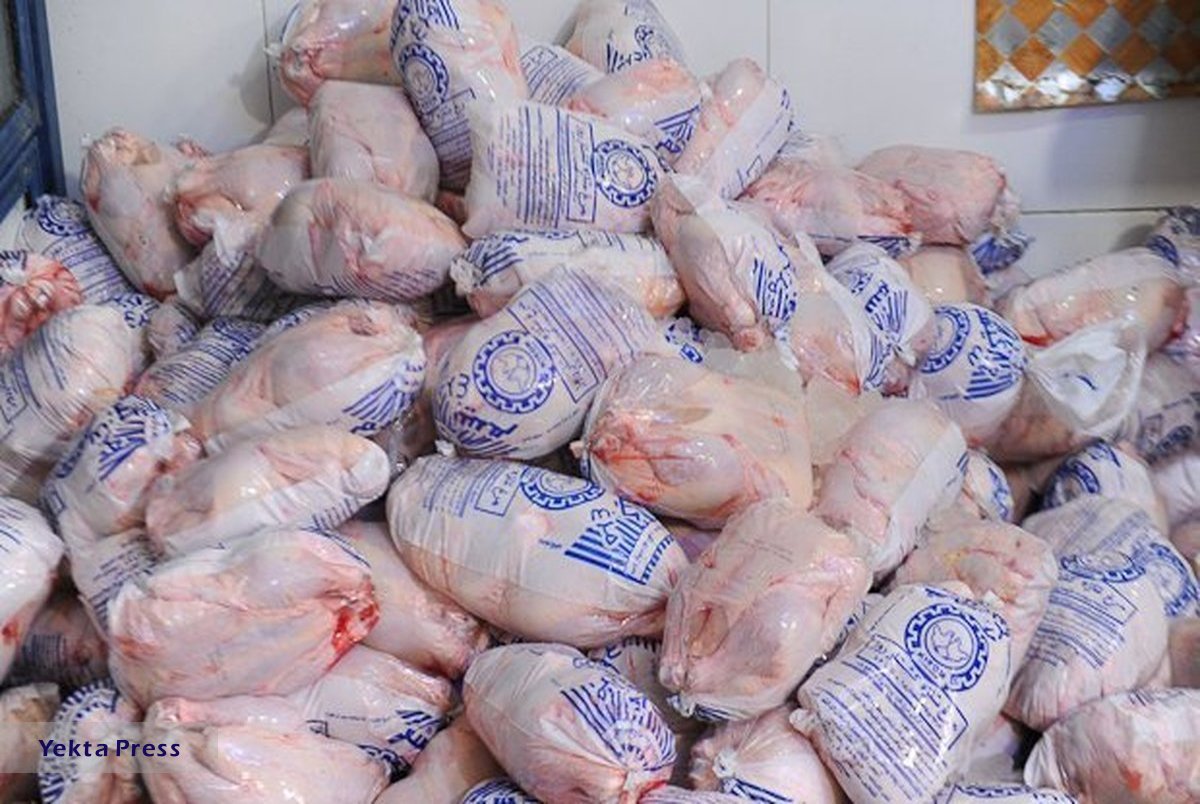 هشدار افزایش قیمت مرغ