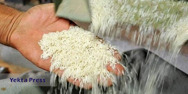 ریزش 20 هزار تومانی قیمت برنج ایرانی