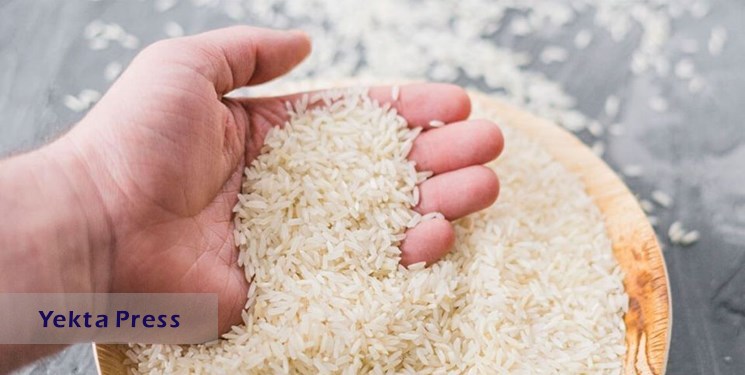 عجیب قیمت برنج‌‌ ایرانی