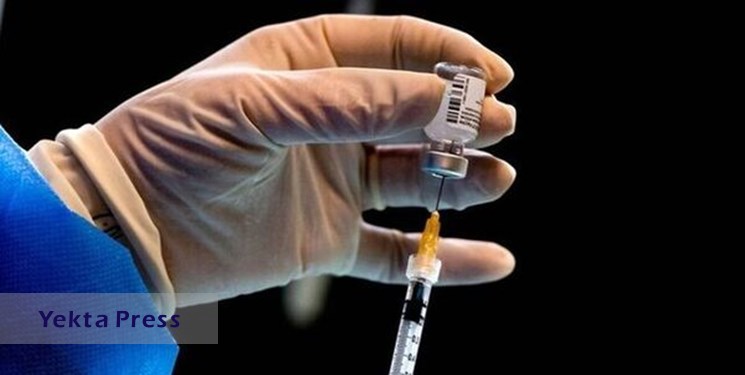 آغاز تزرق دُز چهارم واکسن کرونا به افراد بالای ۸۰ سال
