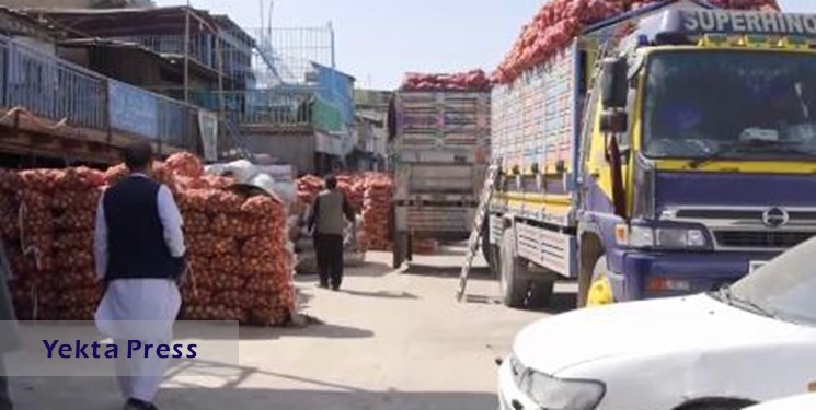 ممنوعیت صادرات پیاز به خارج از افغانستان