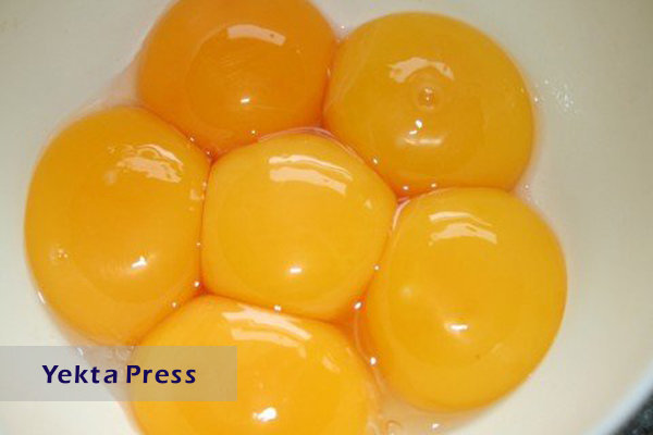 خوردن تخم مرغ موجب تقویت سلامت قلب می شود + جزئیات