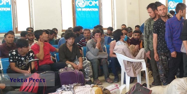 طالبان: در 2 روز اخیر 4500 مهاجر از ایران به کشور بازگشته‌اند