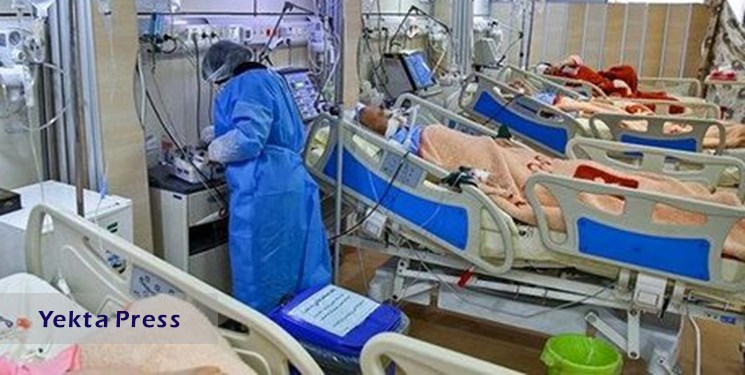 کرونا جان 4 بیمار را گرفت/شناسایی ۲۵۶ بیمار جدید کووید۱۹ در کشور